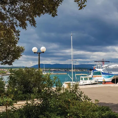 Amazing In Zidarici With Wifi